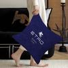 Brand EEtro Fashion Luxury Pillow Gift Home Office Decoration Bedroom Sofa Car Cushion Cover Case X