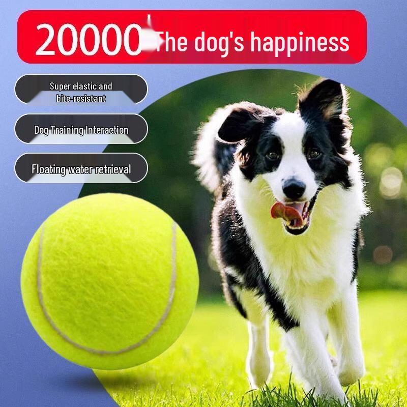 Elastic Rebound Tennis Ball Toy for Puppy Teething and Outdoor Training
