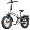 VARUN S20-2 Adult Electric Bike 250W Motor 48V13AH Battery Efficient City Commute E-Bike for Daily Urban Riding, Shopping and Traveling