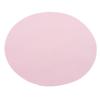 Food Grade Silicone Pet Placemat and Coaster Set for Water Fountain and Heat Insulation