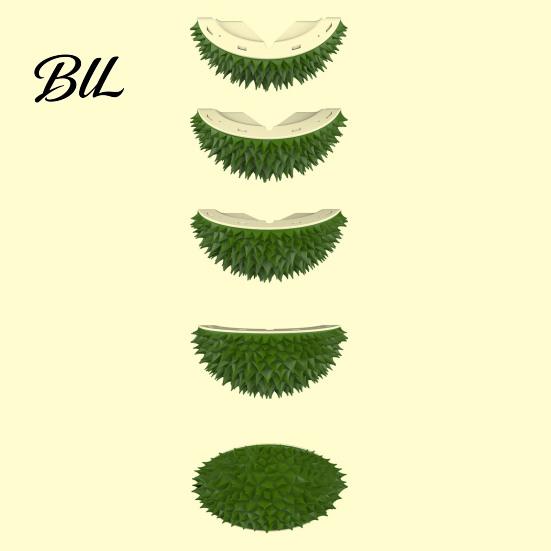 Cat Grooming Brush Self Groomer Wall Corner Durian Shape Face Massager Hair Remover Toy for Indoor Long Short Fur Cats Boredom Relief
