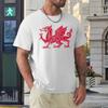 WALES FLAG RED DRAGON (DISTRESSED) Classic T-shirt Harajuku Sport Casual Tees Graphic Vintage Aactivity Competition Eur Size
