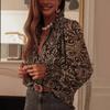 Women's V-Neck Long Sleeve Paisley Print Shirt