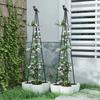 Arco Tubolare in Metallo da Giardino Esterno Supporto per Piante Rampicanti Obelisco Graticcio 120cm/160cm