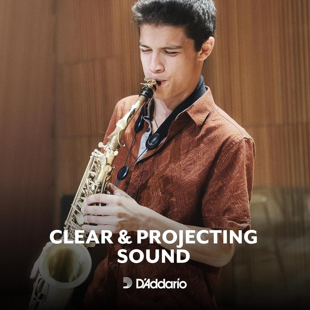 RICO Reeds for Alto Strength 4 RJA1040 D'Addario Saxophone, (10 Reeds) Unfiled,