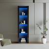 Display Cabinet Highboard 3 Glass Shelves, Modern Glass Display Cabinet, Black High Gloss Front, Free-Standing Display Cabinets, Living Room Office Kitchen, Open Storage, 55x38x166cm