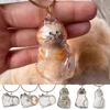 1pc Cat Hair Storage Bottle Pet Furs Keepsake Keychain For Collecting Cat And Dog Memorial Keyring Pet Souvenirs Gift For Friend