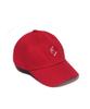 Diposwi 20 No Smoking Curved Cap - Red