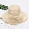 Summer Fashion Sun Hat With Large Brim For Womens Beach And Outdoor Protection
