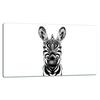 Glass Plate Cutting Board 52X30 Zebra