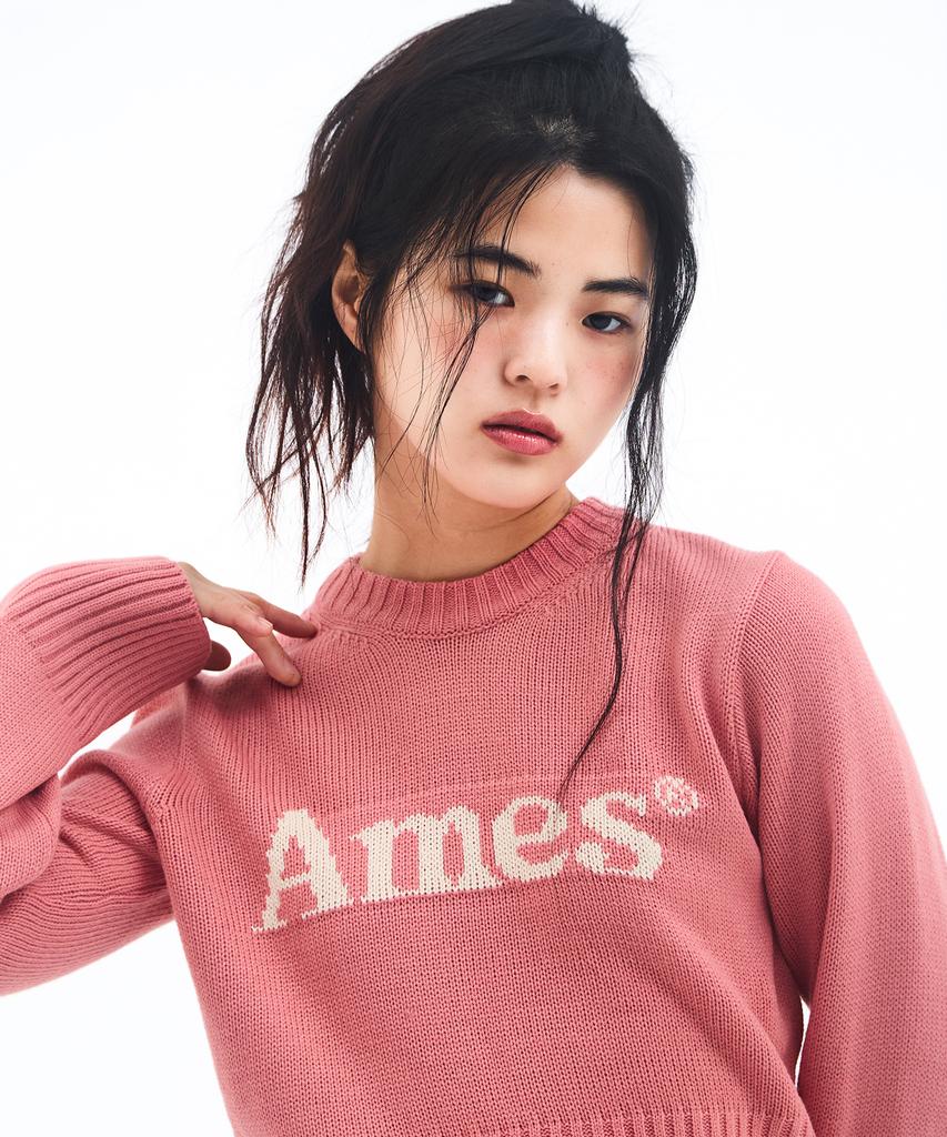 AMES-WORLDWIDE Basic Pullover Knit Pink