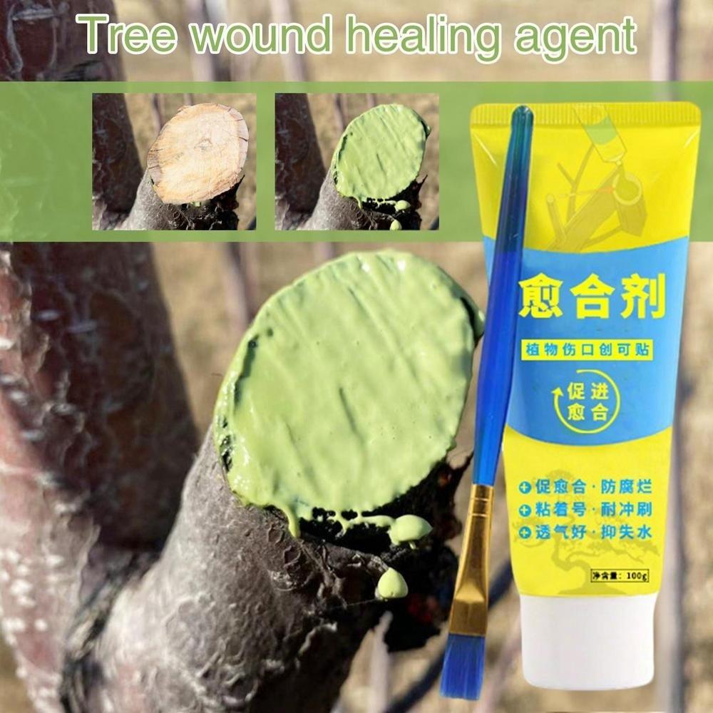 Smear Agent Grafting Tree Sealer 100g Plant Restoring Sealant New Bonsai Cut Paste  Gardening Use