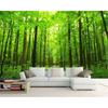Papier Peint Photo 3d Paysage Naturel de Forêt Murale Papier Peint Salon Chambre Décoration de Maison Peintures Murales