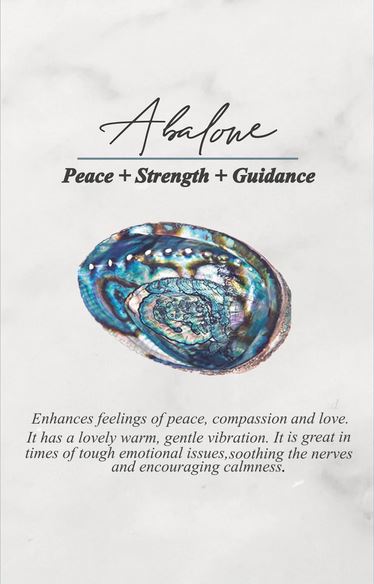 Abalone Shell Gemstone Handmade Copper Wire Wrap Bracelet 7-8" Q3k87