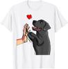 Black Lab Labrador Retriever Women T-Shirt