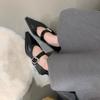British Style Pointed Mary Jane Single Shoes Women's 2025 Spring and Summer New Korean Version Fashion Retro Light Mouth Thick Heel Small Leather Sho