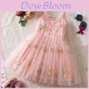 Princess Girl Summer Dress With Embroidered Flowers For Toddlers
