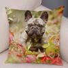Home Deko Niedliches Haustier Mini Französische Bulldogge Kissenbezug Sofa Autodekoration Tier Hund Kissenbezug Bedruckt