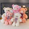 Factory  Soft Teddy Bear Customized Giant  Colorful Plush Pillow Unstuffed Teddy Bear Promotional Plush Toy Skins
