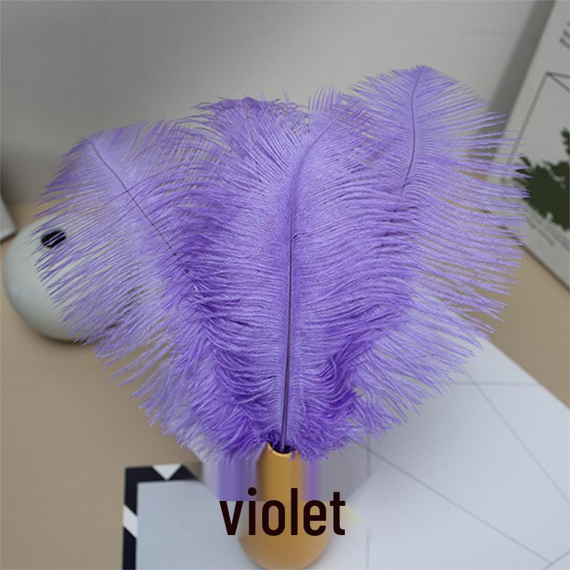 Ostrich Feathers 20-25cm for Stage Performance, Handmade DIY Jewelry, and Decoration Materials