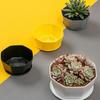 1pc-Simple Flower Pot Set Planter Succulent Plants Large Opening Bottom Tray Indoor Flowerpot Household Durable Holder