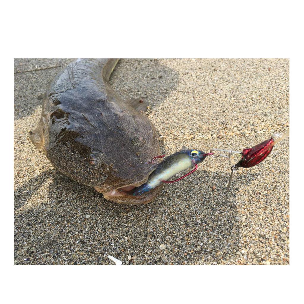 Magbite Snatch Bite Shad 3 inch 06 Glow Hara Bait