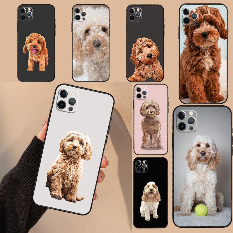 Süße Cockapoo Hund Handyhülle Für iPhone 16 15 14 11 12 13 17 Pro Max mini 15 Plus 16e 17 Air Schutzhülle