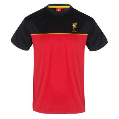 Mens Colour Block Polyester T-Shirt