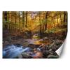Wallpaper Forest River Landscape