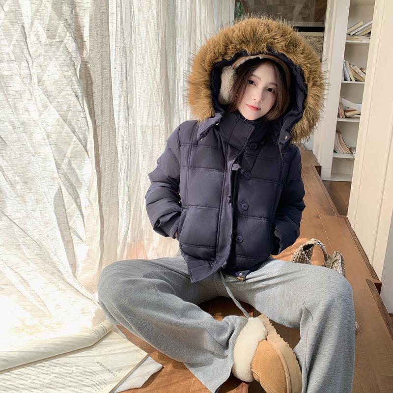 Winter New Hooded Cotton-padded Clothes, Thin Korean Version of Foreign Style Simple Big Fur Collar Short Coat