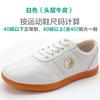 Summer Breathable Tai Chi Shoes