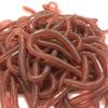 10PCS Simulation Earthworm 18cm Artificial Fishing Worms with Fishy Smell Soft Rubber Lures for Fishing Tackle Funny Bug Toys