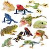 TOYMANY 12 BUC Figurine Broaște Set Figurine Animale Model Broaște Ornament Model Animal Realist Jucărie Cadou de Ziua de Naștere Decorațiune Crăciun Anul Nou