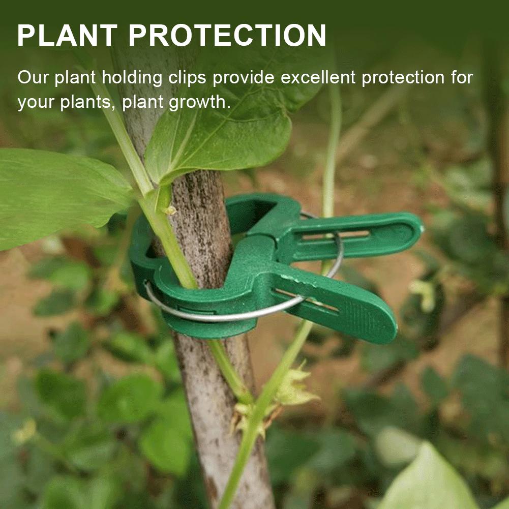 20/50Pcs Seedling Tomatoes Support Reusable Seedling Stem Support Garden Tomato Plant Support Clips for Fixed Plants Vine Flower