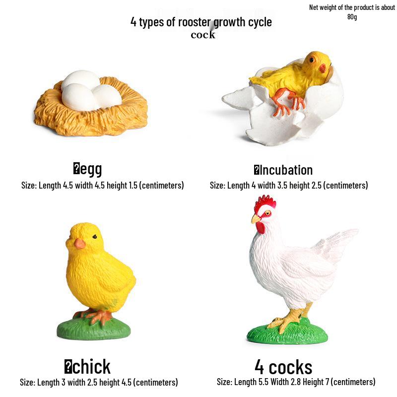 Pediatric Cognitive Simulation: Mini Salmon Growth Cycle Toy