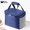 Insulated Food Delivery Bag with Ice Pack for Camping, Home, or Car Cooling