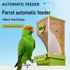 Automatic Anti-Spill Parrot Feeder with Husk Separator for Cockatiels