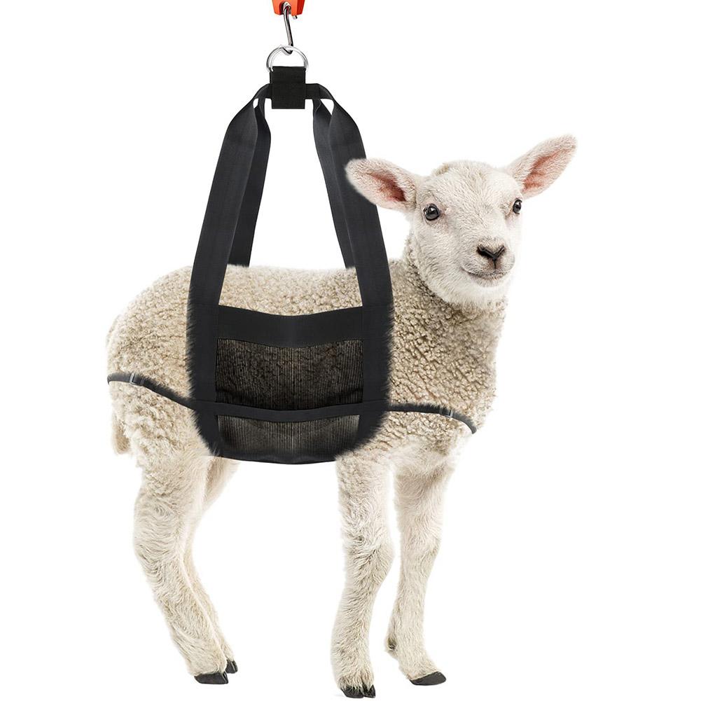 Calf Sling for Weighing Animals Calf Scale Hanging Weight Scale Sling with Adjustable Straps for Weighing Calves Lambs Goat Baby