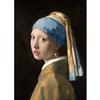 Сережки з перлами Vermeer. Дівчина. 1665. Виставковий плакат, надрукований на полотні. Прикраса дому
