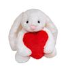 Kawaii High Quality Hold Heart Rabbit Plush Doll Cute Soft White Brown Long-Eared Bunny Plush Toy for Girls Birthday Present