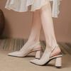 Baotou Thick Heel Shoes Children Versatile 2025 Spring and Autumn Ladies Occupation Commuting Work Pointed High Heels Single Shoes