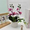 Többszínű Phalaenopsis orchidea mesterséges virág kiegészítők Műanyag hamis Phalaenopsis orchidea cserepes zöld levelek Fotó kellékek Szimuláció Bonsai