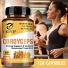 Cordyceps 1000mg - Pilzextrakt - Steigert Energie & Ausdauer, Immununterstützung