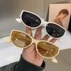 Cat Eye Women New Oval Sunglasses Vintage Fashion Female Shades Glasses Popular Brand Designer Eyewear for Ladies