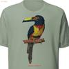 Collared Aracari Toucan Sage Green T Shirt and 11x14 Art Print Vintage Washed Unisex Versatile Graphic Slightly