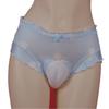 Sissy Lingerie For Men Silky Cute Cartoon Lace Sheer Panties Camel Toe Underwear Crossdresser Mesh See Through Lingerie