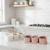Practical Airtight Spices Box Anti Slip Plastic Seasoning Organizer Dividing Grids with Spoon Spice Container Food Storage