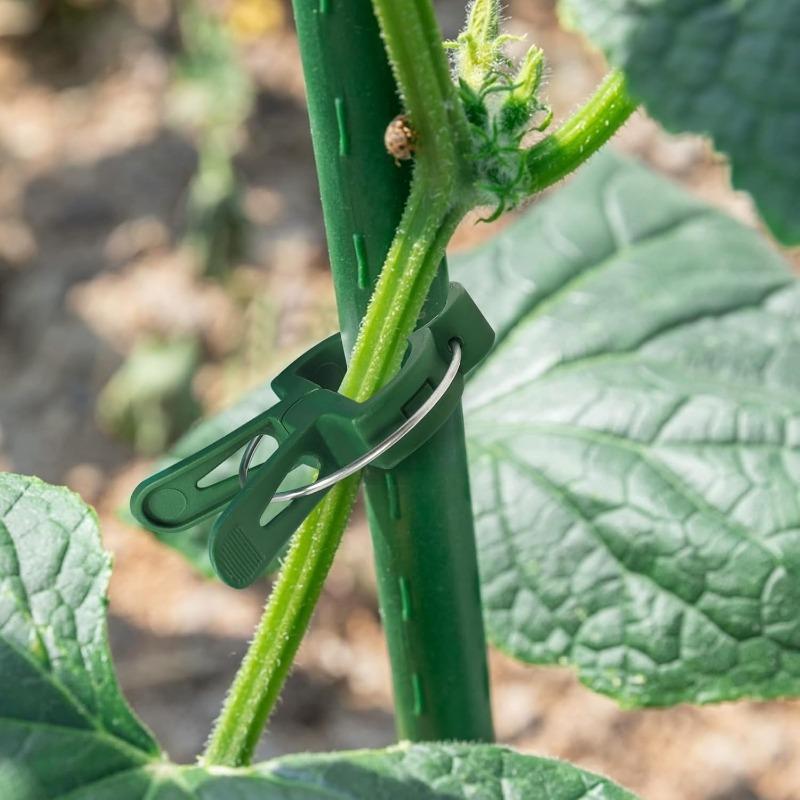 20 buc. Clipsuri Fixare Plante Reutilizabile Suport Grădină Seră Plante de Grădină Viță de Vie Agățătoare Clemă Floare Tomate Suport Element de Fixare