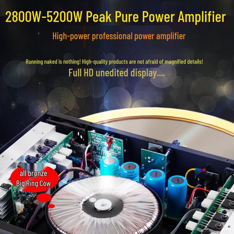 Songchuan International SP121 Professional Home KTV Audio System CN plug (adapter included) (CN version)