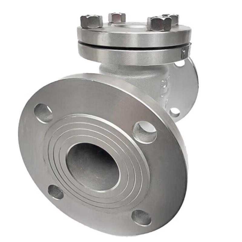 Jing Xin Gong 316 Stainless Steel Swing Check Valve H44W-16R DN50
